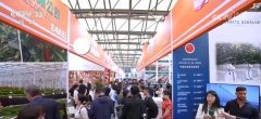 “鲜花经济”终身花！我国花草海外商业持续增